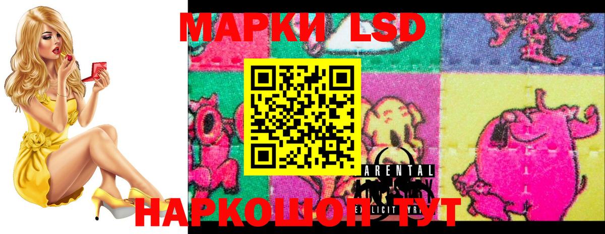 Строитель  LSD-25 экстази кислота  ЛСД экстази кислота  Вход с VPN 